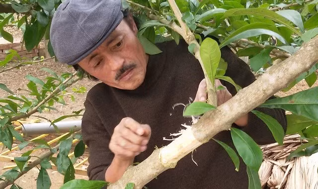 Giang còi tự tay trồng và chăm sóc từng cái cây trong vườn.