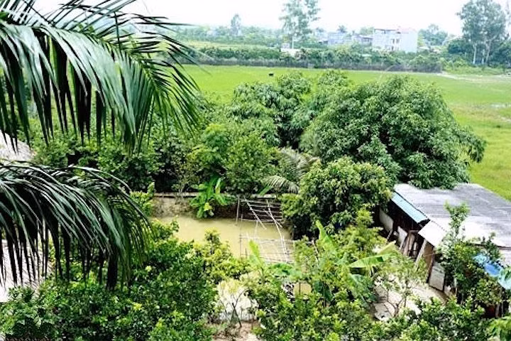 Dù sinh ra và lớn lên ở phố cổ nhưng diễn viên Giang còi tự nhận mình là "nông dân chính hiệu". Anh mua một mảnh đất rộng hơn 10.000m2 ở ngoại thành Hà Nội và tự tay trồng cây, nuôi gà, nuôi lợn, chim bồ câu và đào ao thả cá. 