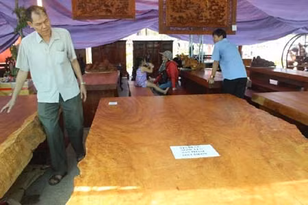 Dai gia Viet choi sang mua phan go tien ty-Hinh-3