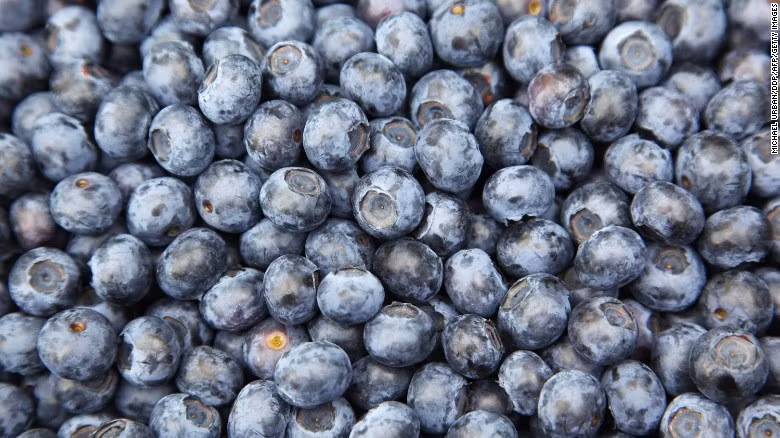 Cũng như nhiều chất chống oxy hóa khác, anthocyanin có tác dụng các bệnh ung thư vú, tiền liệt tuyến, ruột kết, miệng và u di căn. 