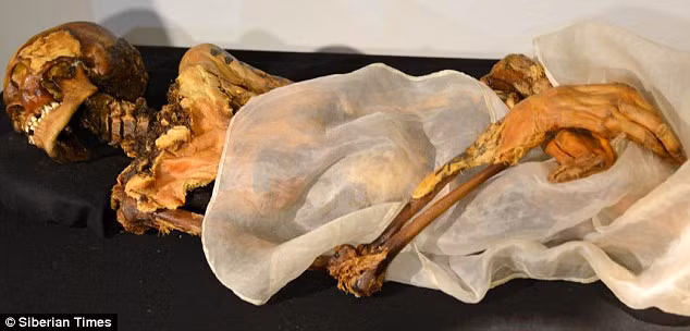 Vào ngày 31/7/1993, các nhà khảo cổ tìm thấy một xác ướp mỹ nhân tại khu vực núi Altai của nước Cộng hòa Altai. Theo các chuyên gia, xác ướp có niên đại hơn 2.500 tuổi. Trên 2 cánh tay của xác ướp là những hình xăm. Người phụ nữ trẻ này được chôn cất với áo may bằng lụa và đeo thắt lưng đỏ.