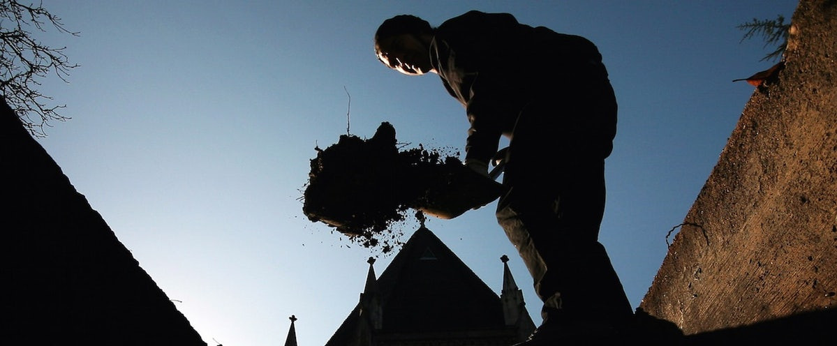 Theo đó, sau khi tỉnh dậy, bà vội vã cầu xin chồng ra nghĩa trang mở quan tài để cứu con. Người chồng cho rằng vợ quá đau lòng trước cái chết của Hoffman nên có suy nghĩ như vậy. Ông khuyên vợ không ra đào mộ để con trai yên nghỉ.