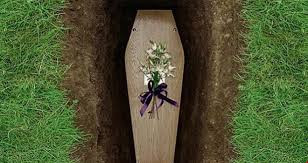 Khi ấy, một người mẹ có giấc mơ kỳ lạ về con trai bé nhỏ Maks Hoffman. Cậu bé sống với gia đình ở bang Wisconsin, Mỹ và qua đời khi 5 tuổi vì bệnh tả. Sau khi được bác sĩ tuyên bố tử vong, gia đình thực hiện chôn cất Hoffman.