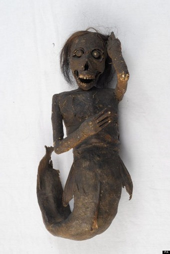 Tóc của nàng tiên cá được xác nhận là tóc người. Xác người cá này còn khá nguyên vẹn nên các chuyên gia hy vọng sẽ giải mã được nhiều bí mật về thi hài này khi thực hiện các nghiên cứu sâu hơn.