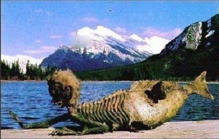 Một số nhà hàng hải, thủy thủ nhìn thấy người cá xuất hiện ở Đại Tây Dương. Theo lời kể của các nhân chứng, nàng tiên cá có nửa thân trên là của một cô gái và nửa thân dưới là đuôi to khỏe giống loài cá.