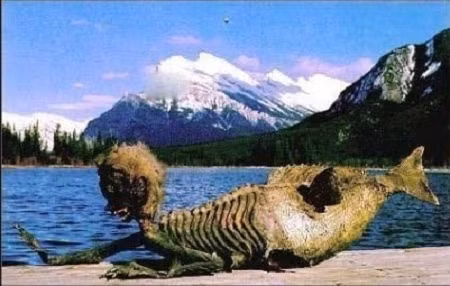 Một số nhà hàng hải, thủy thủ nhìn thấy người cá xuất hiện ở Đại Tây Dương. Theo lời kể của các nhân chứng, nàng tiên cá có nửa thân trên là của một cô gái và nửa thân dưới là đuôi to khỏe giống loài cá.