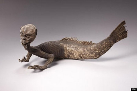 Một số ngư dân Nhật Bản tìm thấy xác ướp người cá. Theo đó, các chuyên gia mua lại để tiến hành nghiên cứu tỉ mỉ.