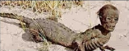 Tháng 4/1990, tờ Wenhui đưa tin về việc tìm thấy một người cá hơn 100 tuổi trong ngôi mộ cổ.