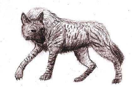 Một số giai thoại còn kể rằng, Crocotta không có hình dáng cố định. Chúng có thể thay hình đổi hình dạng theo ý muốn.