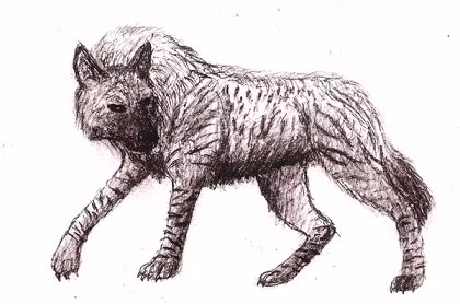 Một số giai thoại còn kể rằng, Crocotta không có hình dáng cố định. Chúng có thể thay hình đổi hình dạng theo ý muốn.