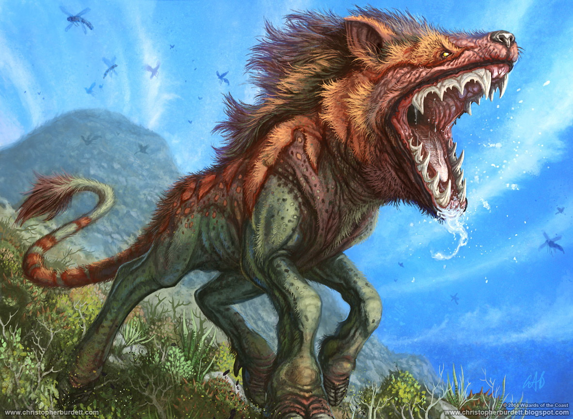 Theo các giai thoại, quái thú Crocotta được miêu tả có hình dáng giống chó lai sói hoặc sư tử lai sói.