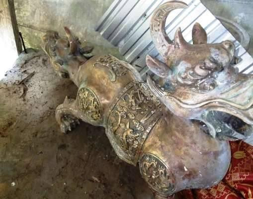 Ngu dan nhat tuong con vat 2 dau ky la o Ca Mau