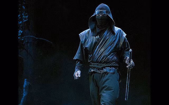Ví dụ như khi làm nhiệm vụ trong rừng thì Ninja sẽ mặc trang phục trùng với màu đất hay màu của cỏ cây.
