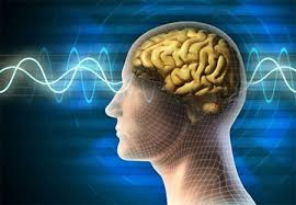 Từ đó, những người tự nhận sở hữu sức mạnh tâm linh cho hay nắm giữ và biết được nhiều thông tin bí mật về thế giới.