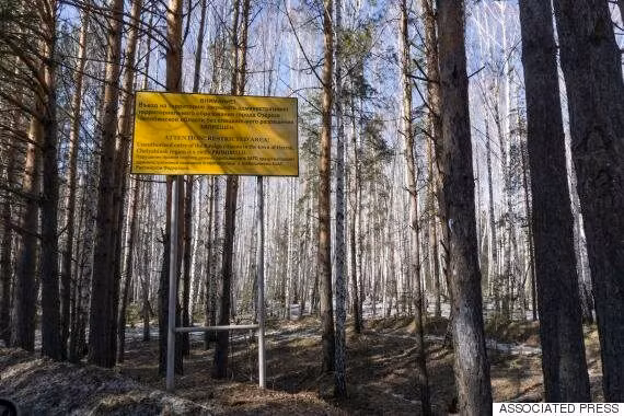 Bất cứ ai muốn ra vào thành phố Ozersk đều phải có loại giấy phép đặc biệt do nhà chức trách cấp.