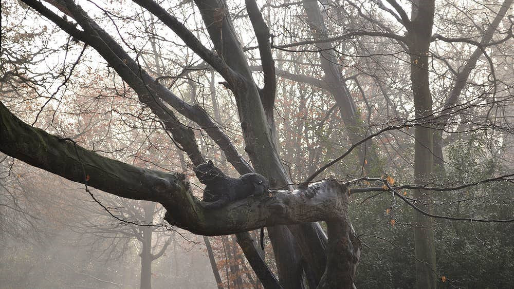 Tiếp đến là rừng Epping ở Essex, Anh. Kích thước và mật độ của Epping Forest đã biến nó trở thành nơi ẩn náu phổ biến cho bọn tội phạm và một nơi chôn cất khét tiếng cho các xác chết bị giết một cách bí ẩn