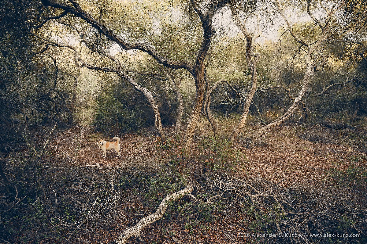 Ngay nay, người ta kể rằng nổi có những hiện tượng kỳ lạ, như một người phụ nữ mặc màu trắng toát đi lang thang, hoát ẩn thoát hiện trong rừng, bên cạnh một chiến binh cụt đầu cưỡi một con ngựa chạy nước kiệu vọt qua…