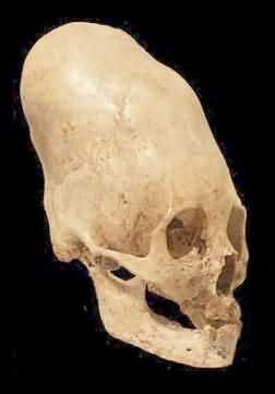 Theo nghiên cứu của các chuyên gia, những bộ hài cốt trên đến từ những người có địa vị cao và giàu có trong xã hội.