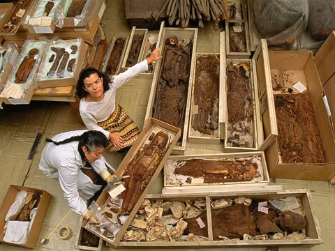 Kế đến, người ta dùng gỗ, cây cỏ và đất sét để tái tạo cơ thể bao quanh bộ xương của người chết. Tiếp theo, người ta khâu lớp da ban đầu lại, thêm miệng, mắt và tóc để tạo thành cơ thể hoàn chỉnh.