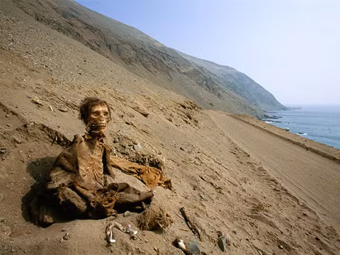 Trong khi người Ai Cập cổ đại chủ yếu ướp xác vua chúa, thành viên hoàng tộc và những người có địa vị cao trong xã hội thì người Chinchirro ướp xác tất cả tầng lớp trong xã hội.