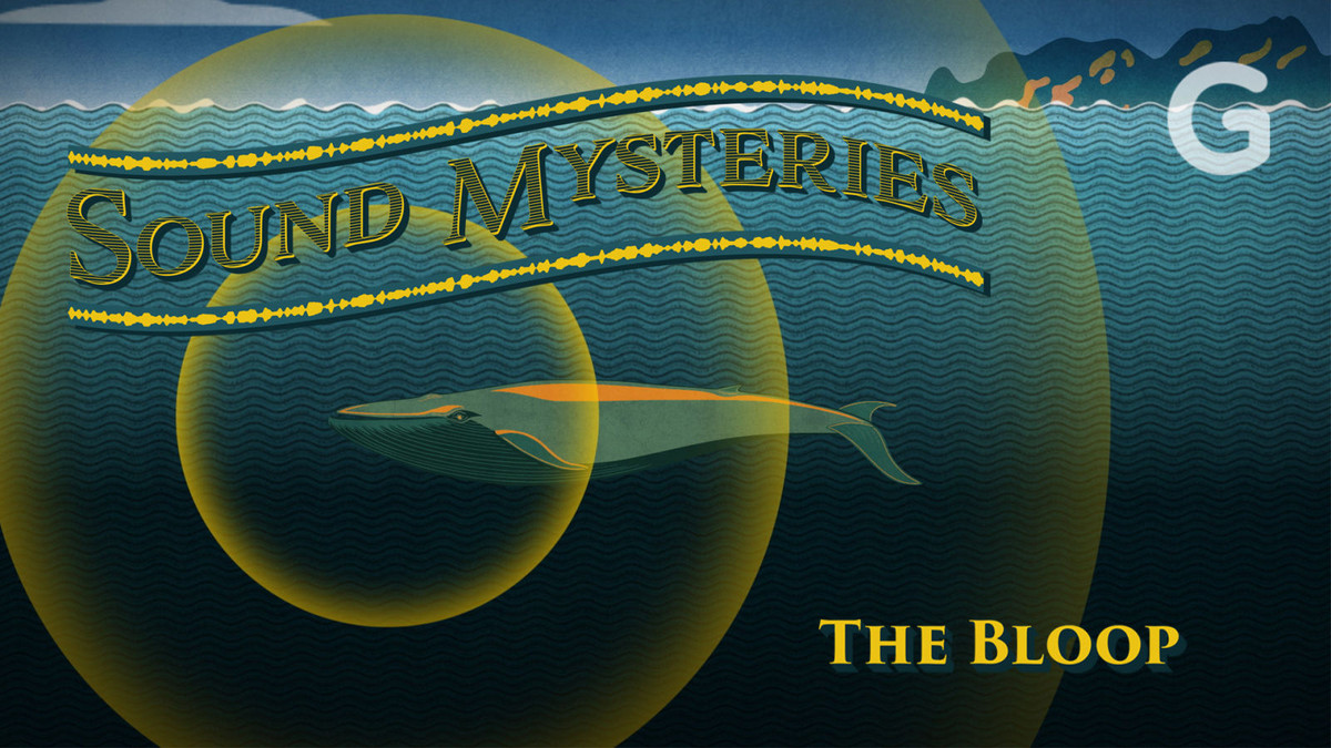 Trước âm thanh kỳ bí này, giới chuyên gia đã nỗ lực nghiên cứu nhằm tìm hiểu nguồn gốc của nó. Dù bỏ ra nhiều tâm huyết và thời gian nhưng các chuyên gia chỉ biết được âm thanh phát ra từ một loài sinh vật biển.