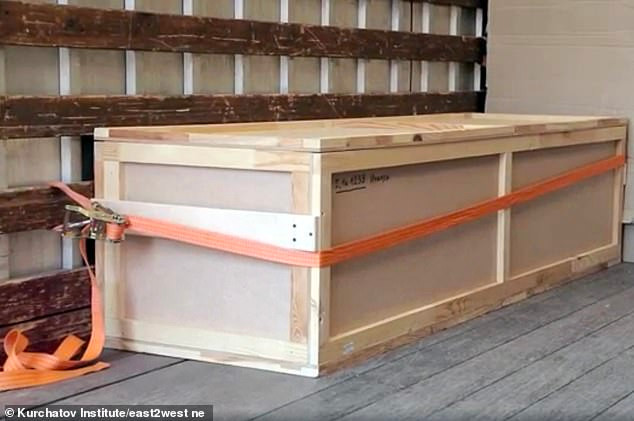 Nhờ quy trình bảo quản nghiêm ngặt và tỉ mỉ, mái tóc dài của xác ướp không bị phân hủy.