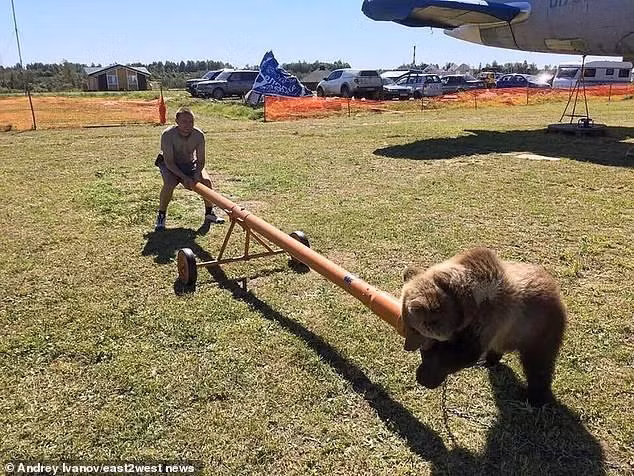 Phi cong Nga ke chuyen ly ky ve chu gau 