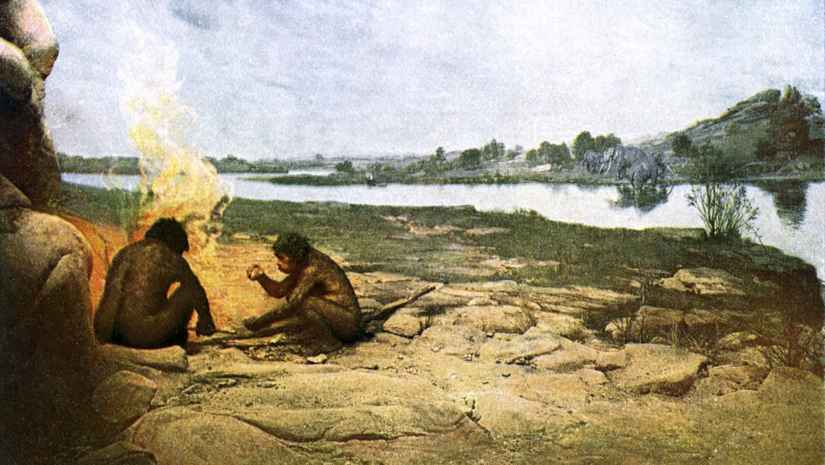 Vết thương này không phải do người đàn ông bị ngã hay gặp sự cố đá rơi trúng đầu.