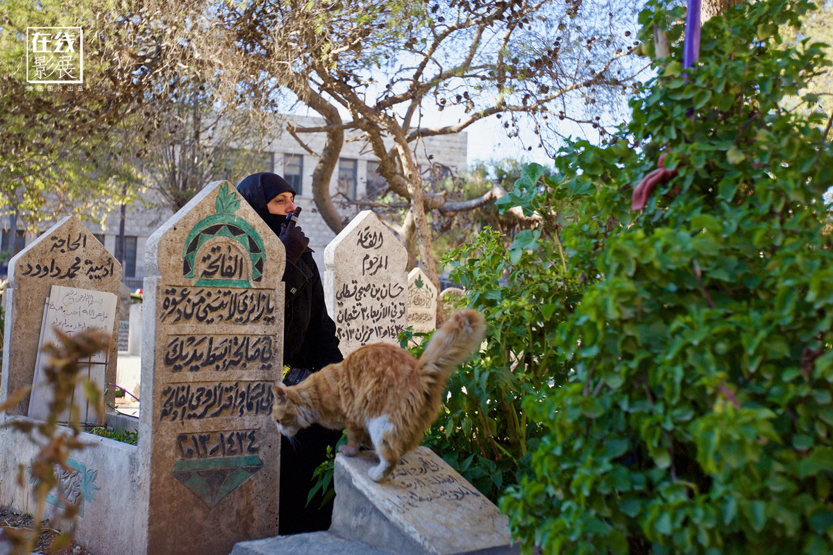 Ở Aleppo, có một công viên nhỏ bên trong trung tâm thành phố. Tuy nhiên, do có nhiều người chết trong các cuộc oanh kích hay đánh phá nên người dân đã chôn cất họ ở công viên này.
