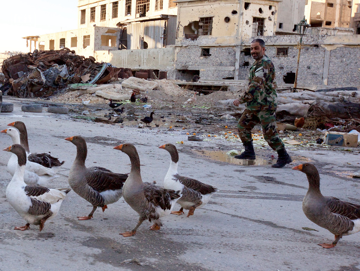 Lính chính phủ đồn trú ở Homs.
