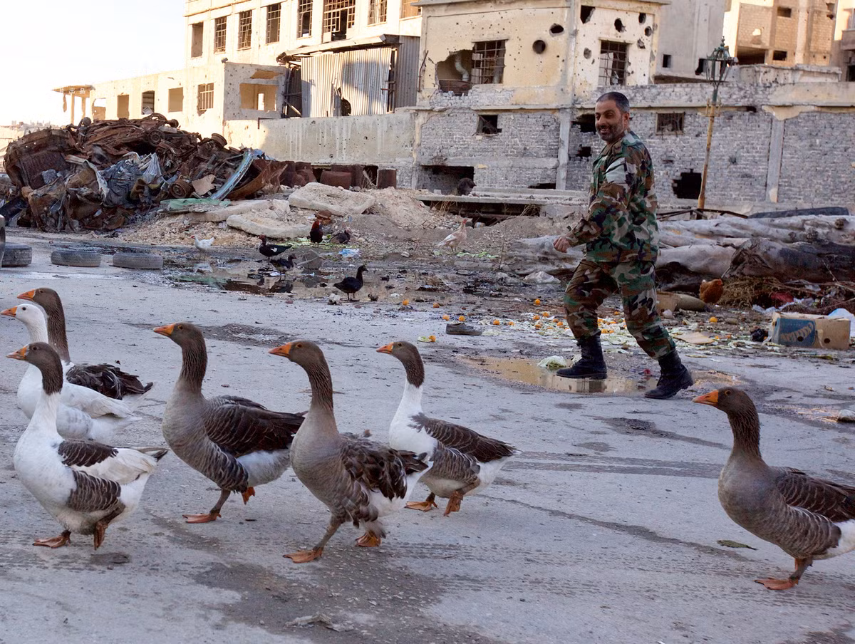 Lính chính phủ đồn trú ở Homs.