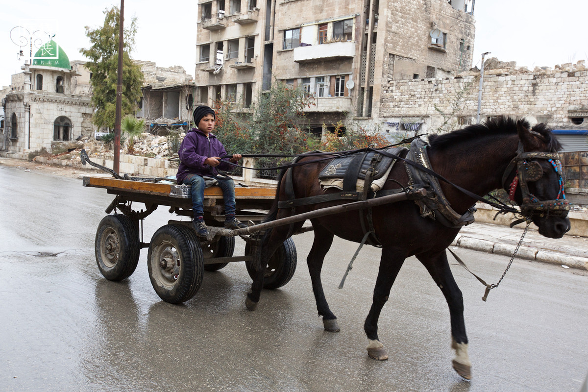 Bé trai tự mình điều khiển xe ngựa trên đường phố Damascus.