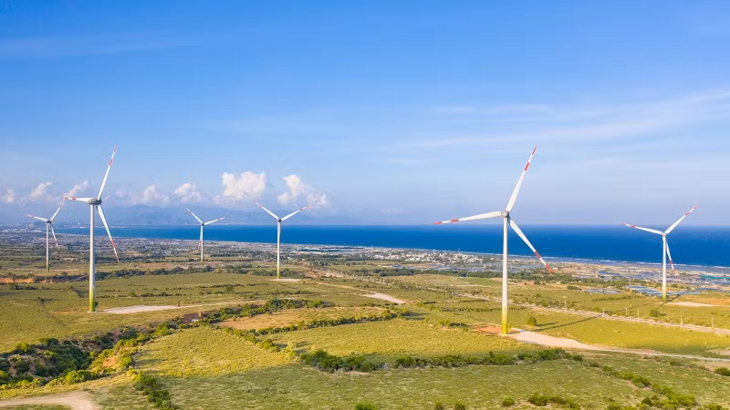 Ninh Thuan va hanh trinh but pha, thu ve “trai ngot”-Hinh-2