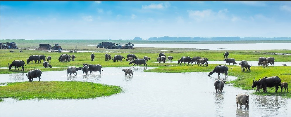 Doi gio cuoi tuan o Tay Ninh, dung quen check-in nhung dia diem noi tieng nay-Hinh-6