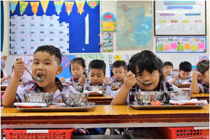 Cai thien chat luong ban tru tieu hoc Ha Noi-Hinh-2