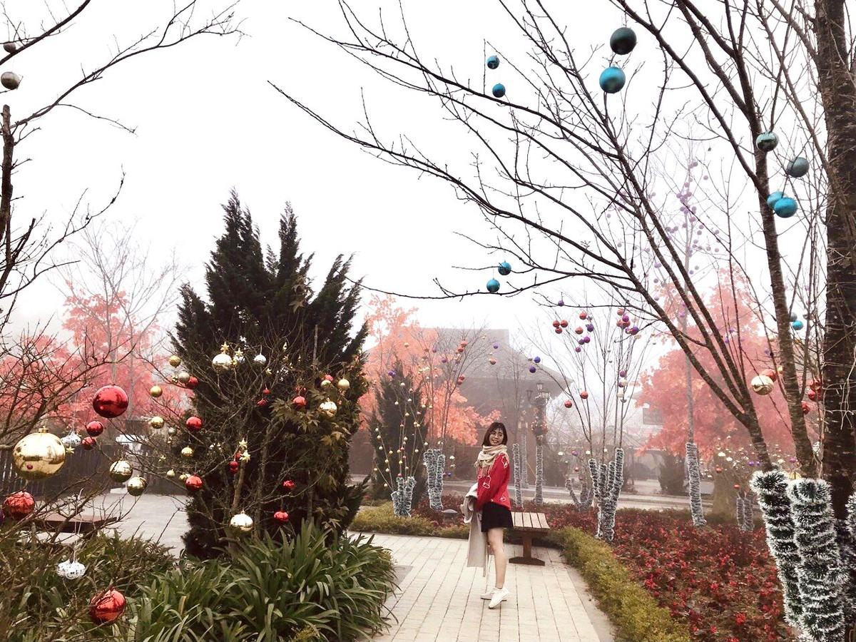 Len Sa Pa don Noel som voi Le hoi mua dong Fansipan-Hinh-4