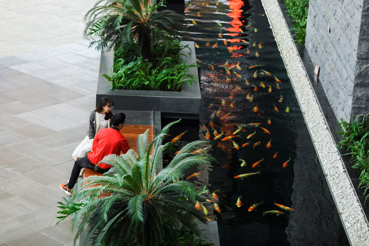 Kham pha khong gian “resort” tai San bay khu vuc hang dau chau A 2020-Hinh-6