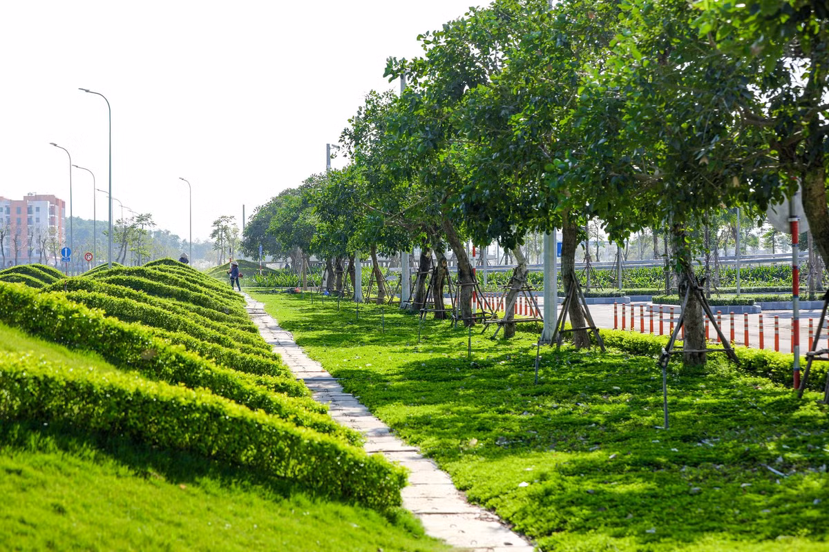 Kham pha khong gian “resort” tai San bay khu vuc hang dau chau A 2020-Hinh-4