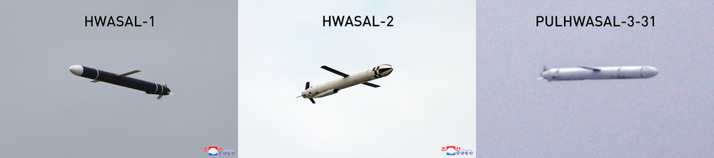 Loại tên lửa hành trình Pulkhvasar-3-31 này được thiết kế để tiêu diệt các mục tiêu mặt đất đã biết tọa độ. Để giải quyết vấn đề này, nhiều loại hệ thống điều khiển và dẫn đường khác nhau được sử dụng. Tên lửa có thể được trang bị hệ thống dẫn đường tự động, quán tính và/hoặc vệ tinh.