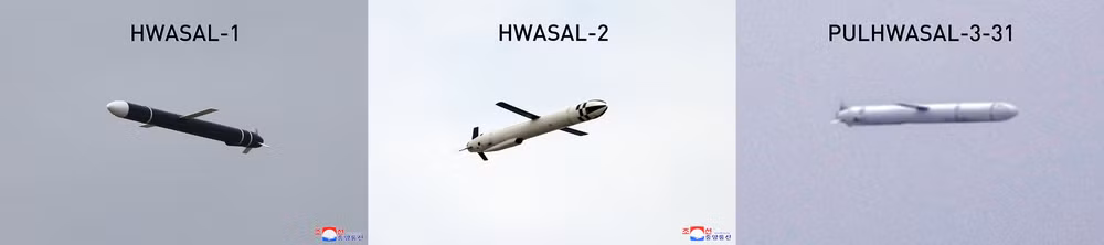 Loại tên lửa hành trình Pulkhvasar-3-31 này được thiết kế để tiêu diệt các mục tiêu mặt đất đã biết tọa độ. Để giải quyết vấn đề này, nhiều loại hệ thống điều khiển và dẫn đường khác nhau được sử dụng. Tên lửa có thể được trang bị hệ thống dẫn đường tự động, quán tính và/hoặc vệ tinh.