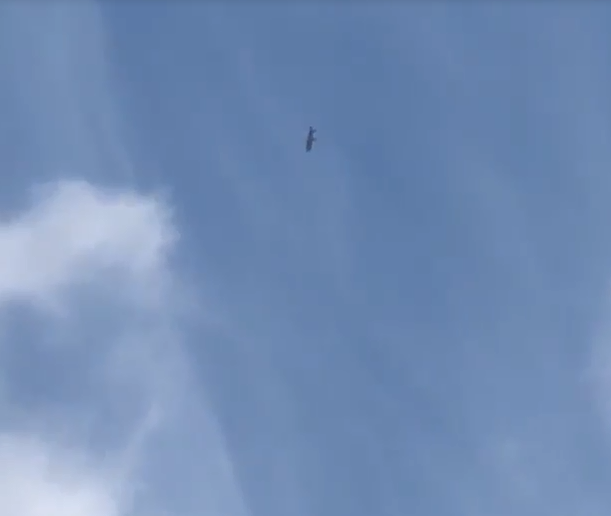 Trông có vẻ như chiếc F-35 đang cắm mũi thẳng xuống đất để thực hiện động tác lộn 180 độ thông thường. Nguồn ảnh: Ins.