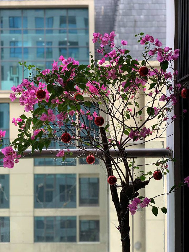 Đặc biệt có thể thấy Xuân Lan là người rất yêu hoa và thường xuyên cắm hoa để không gian luôn tươi mới.