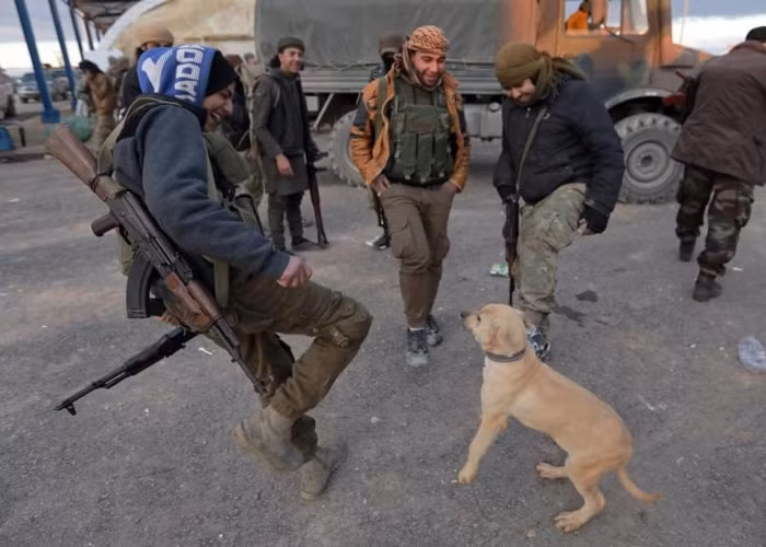 Có lẽ quyền kiểm soát thành phố Manbij thay đổi nhiều hơn bất cứ nơi nào khác ở Syria trong cuộc nội chiến kéo dài gần 8 năm qua.