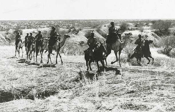 Phương tiện di chuyển hợp lý nhất trên chiến trường Bắc Phi lại là lạc đà và ngựa thay. Nguồn ảnh: Thearchive.