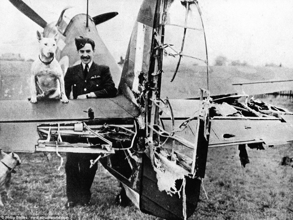 Cận cảnh một chiếc Hurricane tan nát phần đuôi, hỏng hoàn toàn hệ thống cánh lái hướng ở phía đuôi vẫn có thể hạ cánh một cách an toàn - điều mà các phi công Spitfire rất sợ vì điểm yếu của loại máy bay này là hỏng đuôi sẽ gần như mất lái hoàn toàn. Nguồn ảnh: Warhistoryonline.