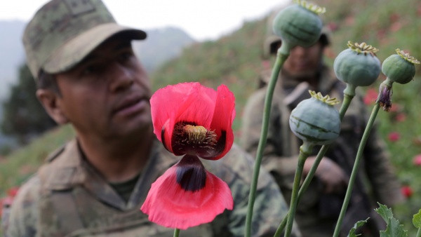 Mặc dù vậy, tỷ lệ sử dụng ma tuý ở Mexico lại thấp hơn nhiều so với Canada và Mỹ. Có thể thấy, những băng đảng ở Mexico sẵn sàng đổ máu vì ma tuý nhưng chúng lại cực kỳ khôn ngoan, không hề dính vào thứ chất gây nghiện này mà chỉ làm nhiệm vụ vận chuyển. Nguồn ảnh: CNN.