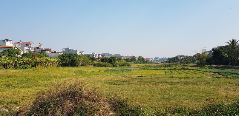 Sai sot ho so moi thau Du an Khu dan cu Hung Dao: Co huy thau?