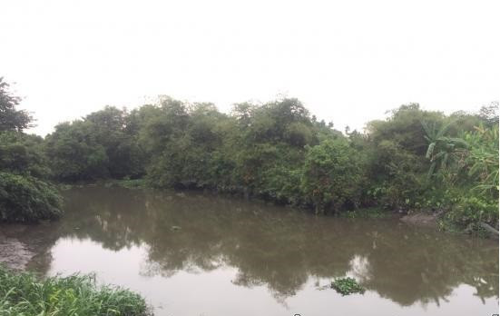 Nghi pham Tuan no sung soi bac 4 nguoi chet con tron o ap Bon Phu - Cu Chi?-Hinh-2