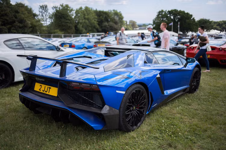 Hàng ngàn chiếc siêu xe đã được trưng bày tại bãi cỏ thuộc khuôn viên của dinh thự. Theo ban tổ chức, nếu chủ xe mang tới những mẫu xe thuộc các thương hiệu siêu xe lớn hoặc các dòng xe hiếm lạ, họ sẽ tự động được trưng bày ở bên trong bãi cỏ. Tuy nhiên, một lượng lớn xe "khủng" đã buộc phải được để ở những vị trí khác do diện tích không đủ chỗ.