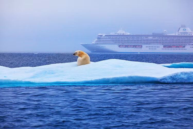 Chính phủ Canada coi Hành lang Tây Bắc là vùng nội thủy của mình, nhưng Mỹ và một số nước châu Âu lại coi đây là eo biển quốc tế và có quyền quá cảnh mà không cần xin phép hay mất phí. Tháng 8/2016, tàu du lịch hạng sang Crystal Serenity của Mỹ mang theo 1.700 người, trong đó có 1.000 khách du lịch, đã có chuyến đi dài một tháng để khám phá Bắc Cực, qua Hành lang Tây Bắc. Ảnh: Crystal Cruises.